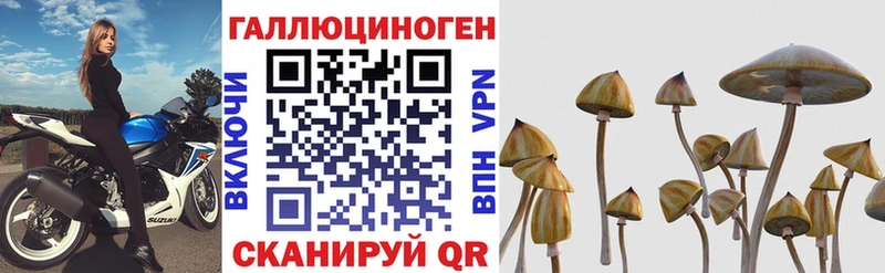 mega маркетплейс Куртамыш Галлюциногенные грибы GOLDEN TEACHER