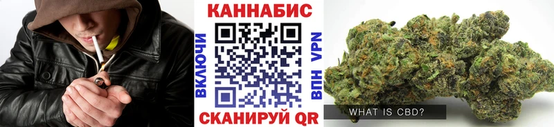 Марихуана семена  блэк спрут   Куртамыш 